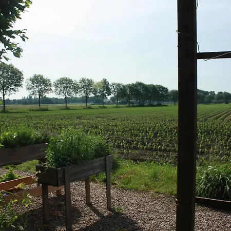 De Peelvos Bed & Breakfast