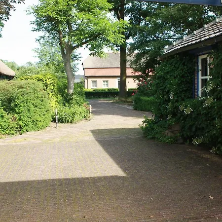 De Peelvos * Deurne