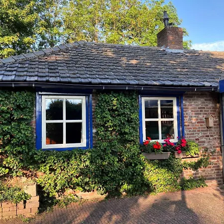 De Peelvos Bed & Breakfast