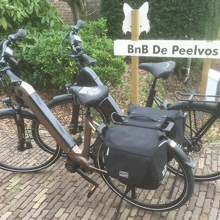 De Peelvos