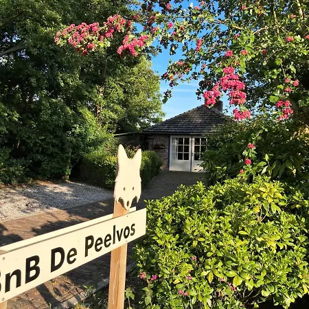 De Peelvos Bed & Breakfast *