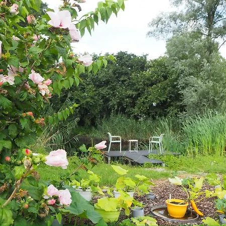 De Peelvos Bed and Breakfast Deurne