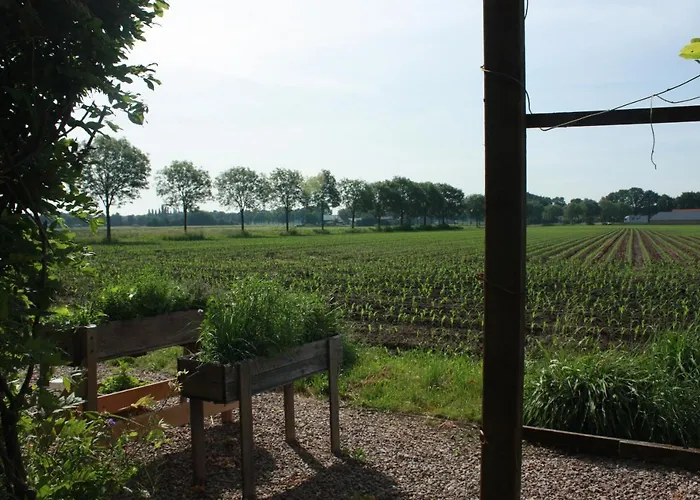 De Peelvos Bed and Breakfast