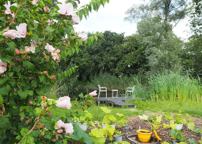 De Peelvos Bed and Breakfast Deurne