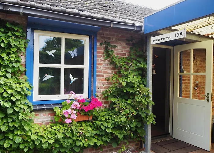 De Peelvos Bed and Breakfast Deurne