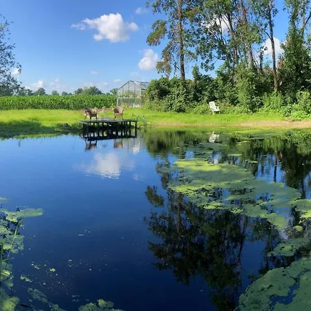 Oda ve Kahvaltı De Peelvos 3*