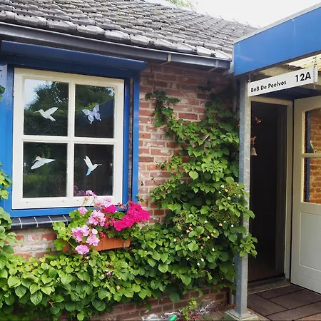 De Peelvos Oda ve Kahvaltı Deurne